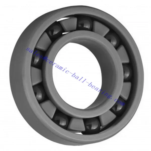 Ceramic ball bearing-6.1